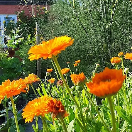 Farmors Hus Rude (Sjaelland og Oerne)