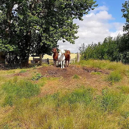 Farmors Hus Aparthotel Rude (Sjaelland og Oerne)