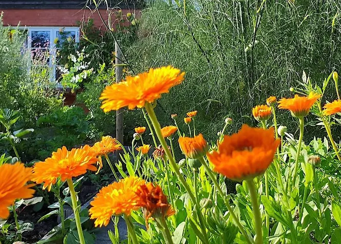 Farmors Hus Rude (Sjaelland og Oerne)